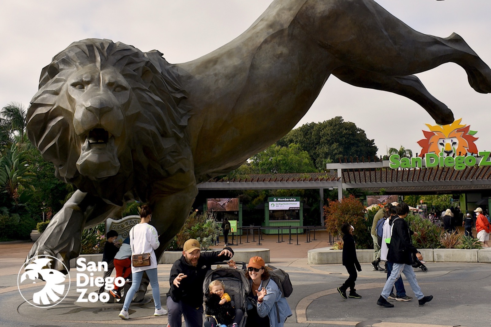 Zoos & attractions photography experience